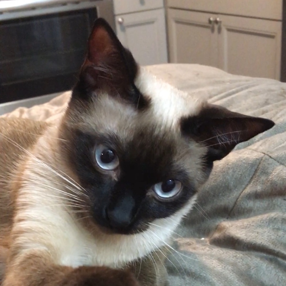 Meet your Posher, Mlr01